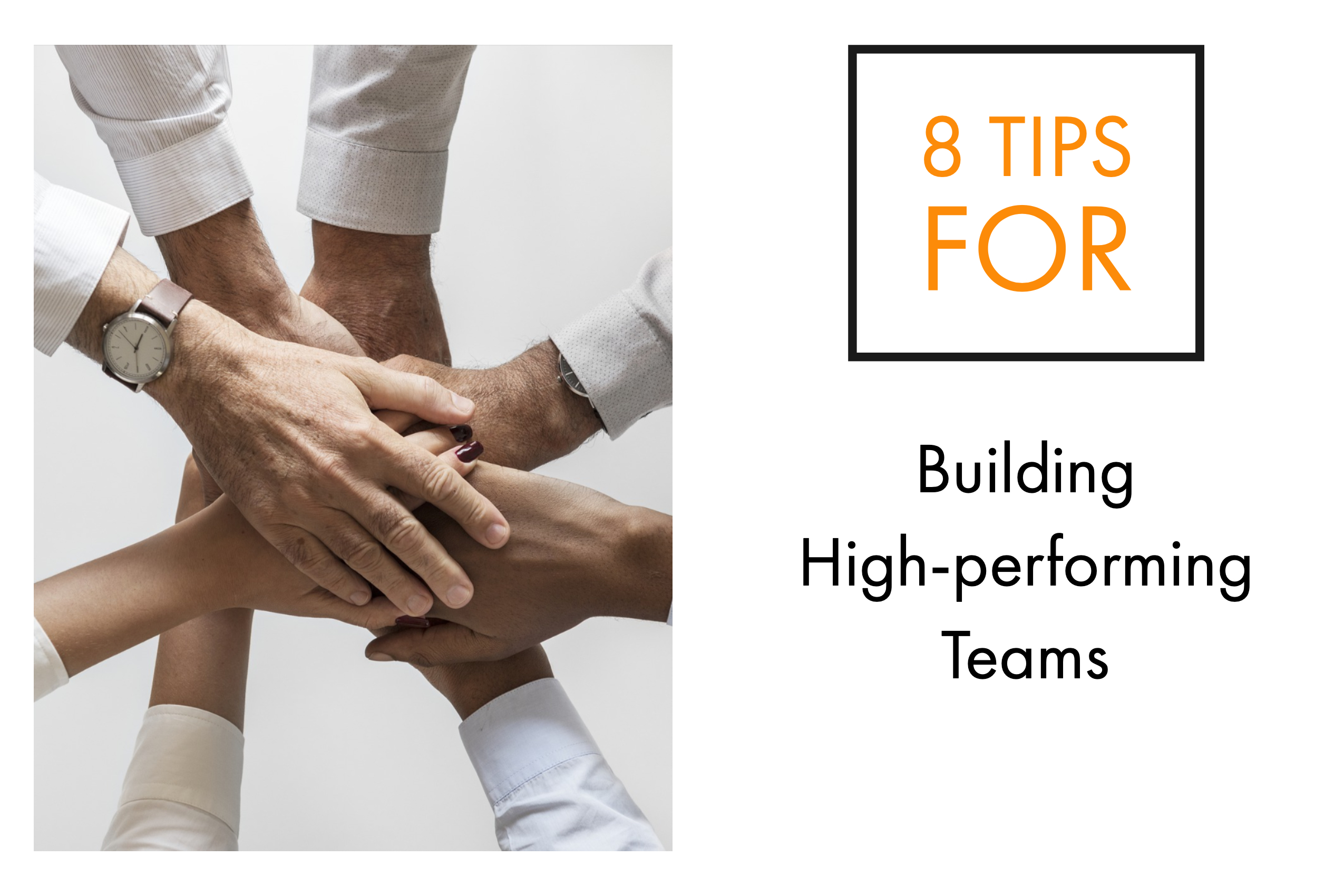 8 Tips for Building High-performing Teams Best Real Estate Company in ...