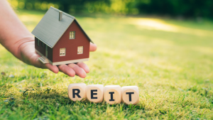 College of Real Estate CORE What is a REIT (Real Estate Investment Trust) REIT 4